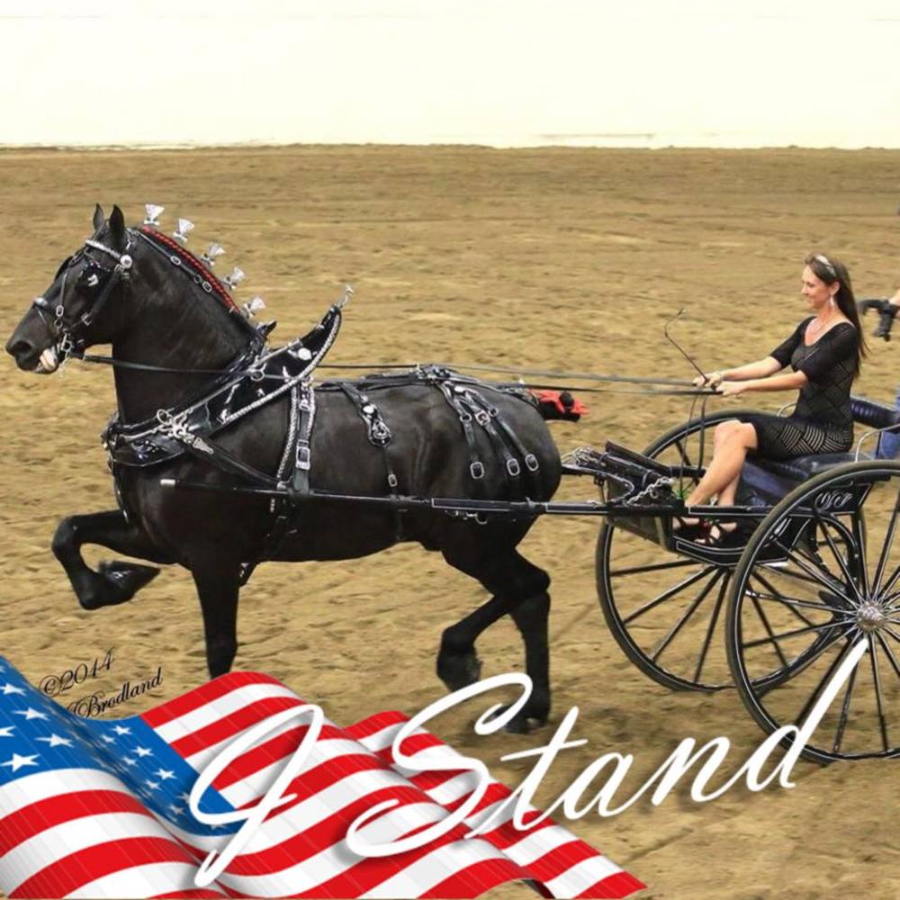 Meet your Posher, Randi